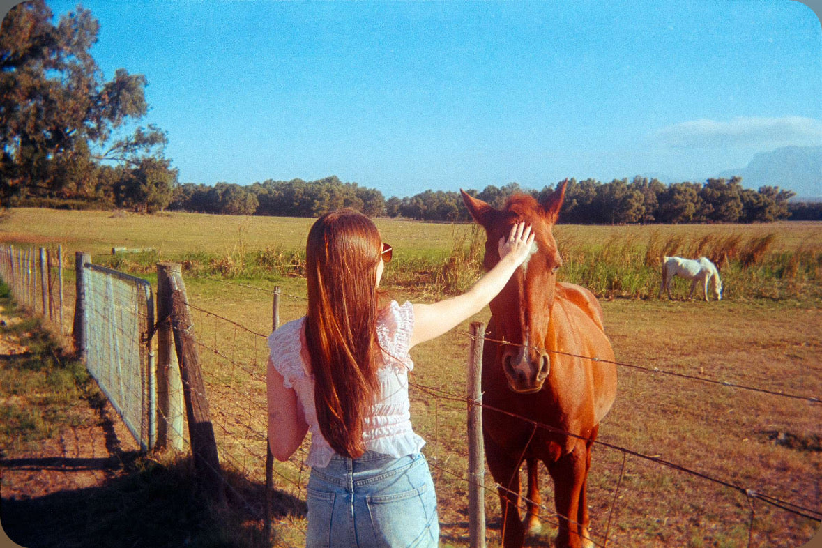Kodak Colorplus 36 Exposures