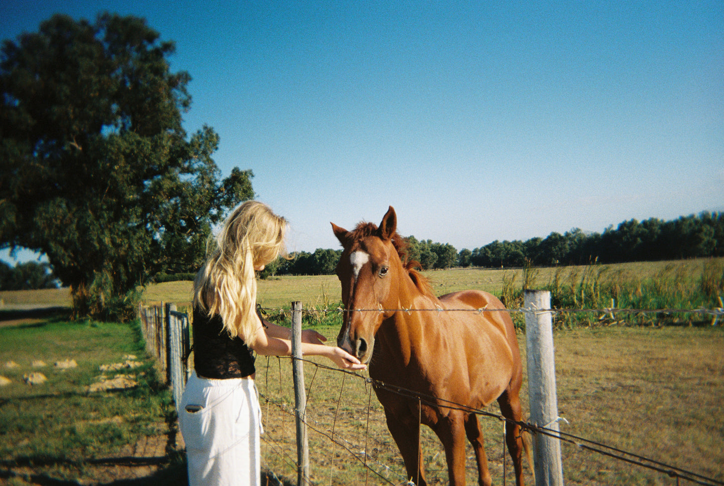 Kodak Gold 200 36 Exposures (3 pack)